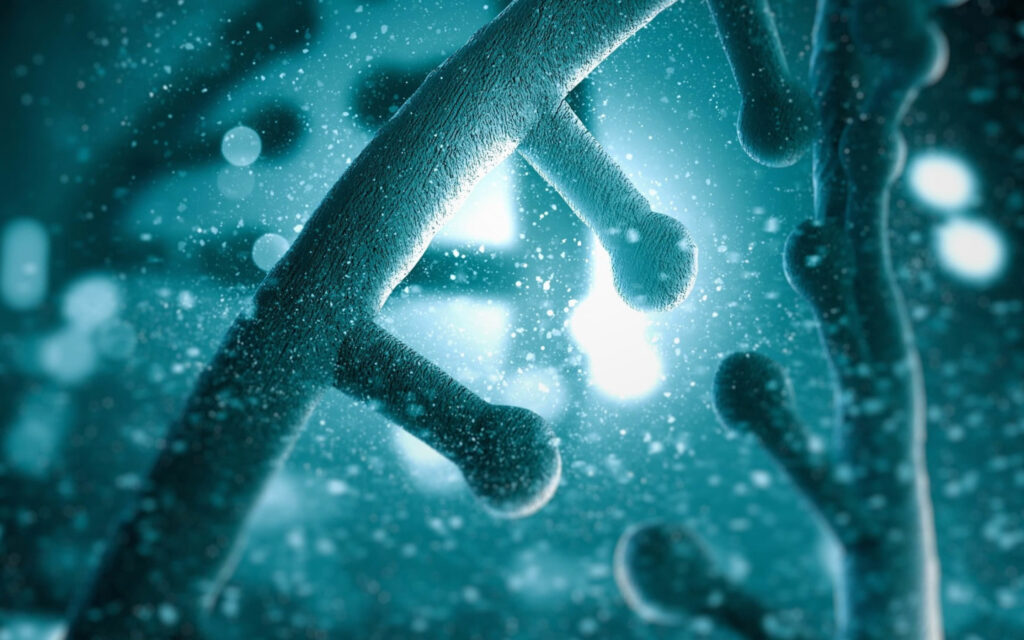 wallpaperflare.com_wallpaper (3)